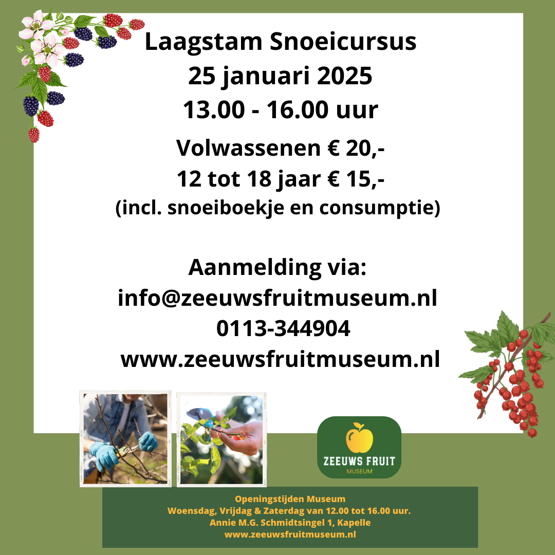 LaagstamSnoeiCursus-25jan25