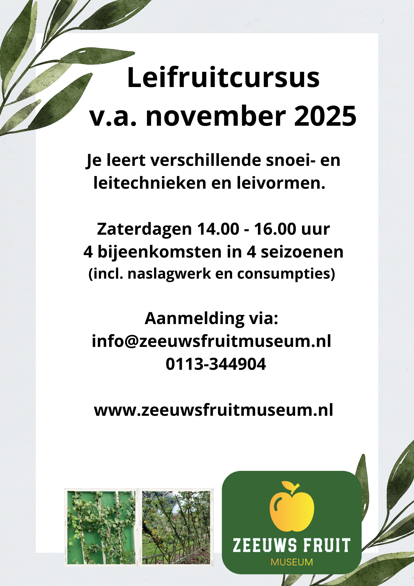 Leifruitcursus
