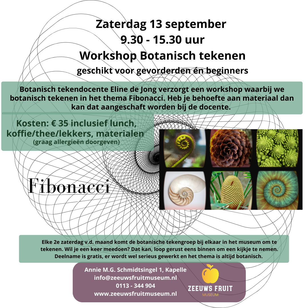 13sept25-Fibonacci