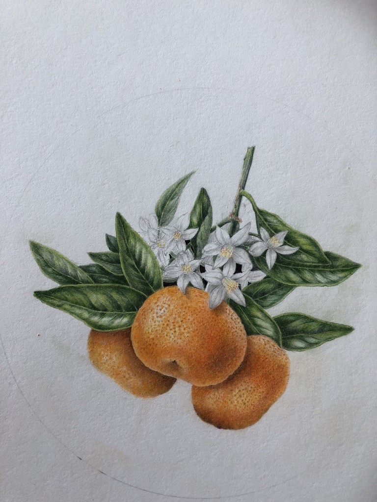 kerstkaart tekenen