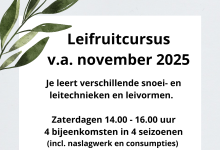 Leifruitcursus