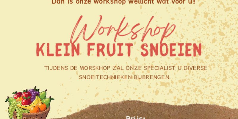 Workshop kleinfruit 7-3-26